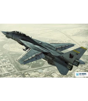 F-14D SUPER TOMCAT
