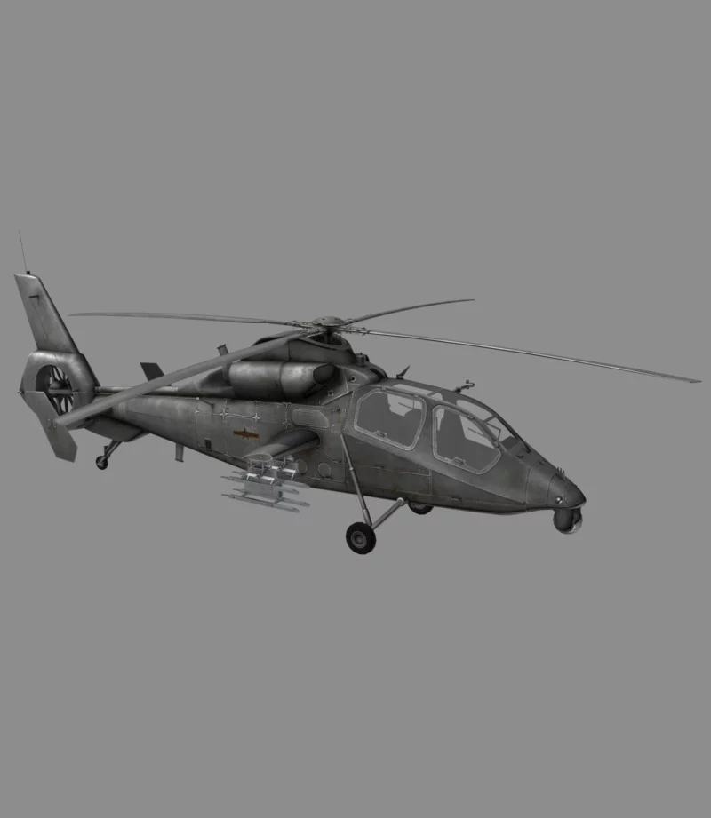 WZ-19