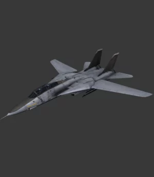 F-14B BOMBCAT COCKPIT