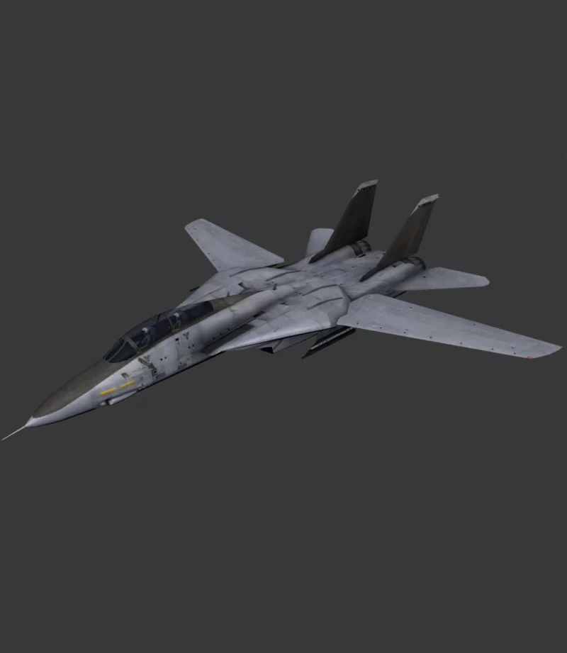 F-14B BOMBCAT COCKPIT