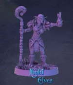 Night Elf-druid calmly standing with casted fire