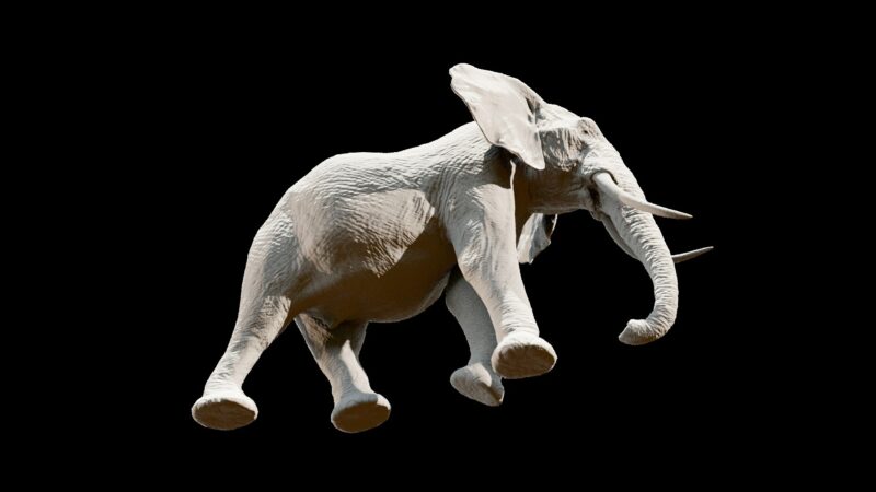 African elephant 3d Model - Image 10