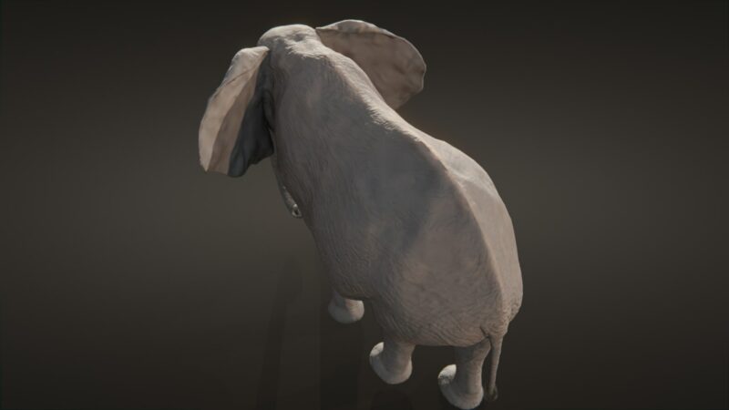 African elephant 3d Model - Image 20