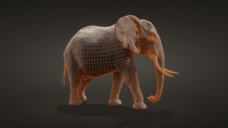 African elephant 3d Model - Image 27