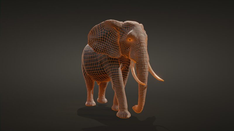 African elephant 3d Model - Image 28