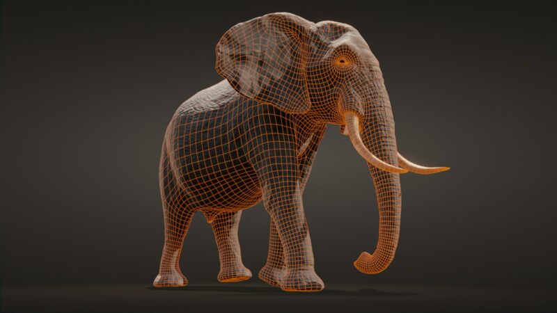 African elephant 3d Model - Image 33