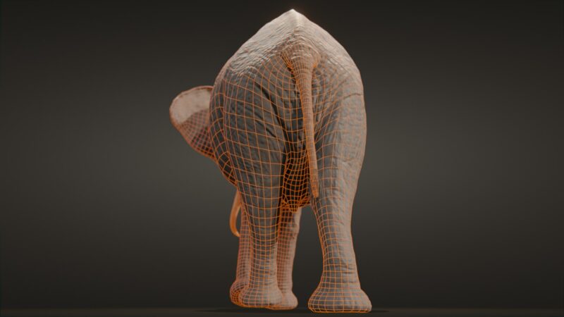 African elephant 3d Model - Image 35