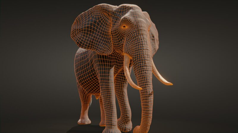 African elephant 3d Model - Image 37